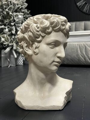 Гипсовая голова 2