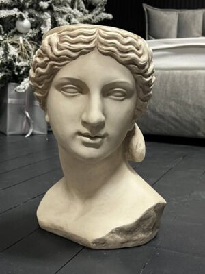 Гипсовая голова