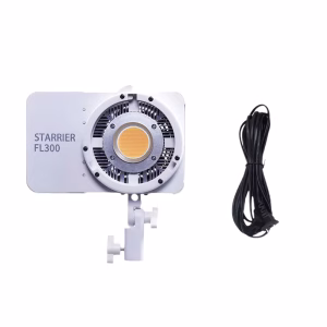LED E-Reise FL300
